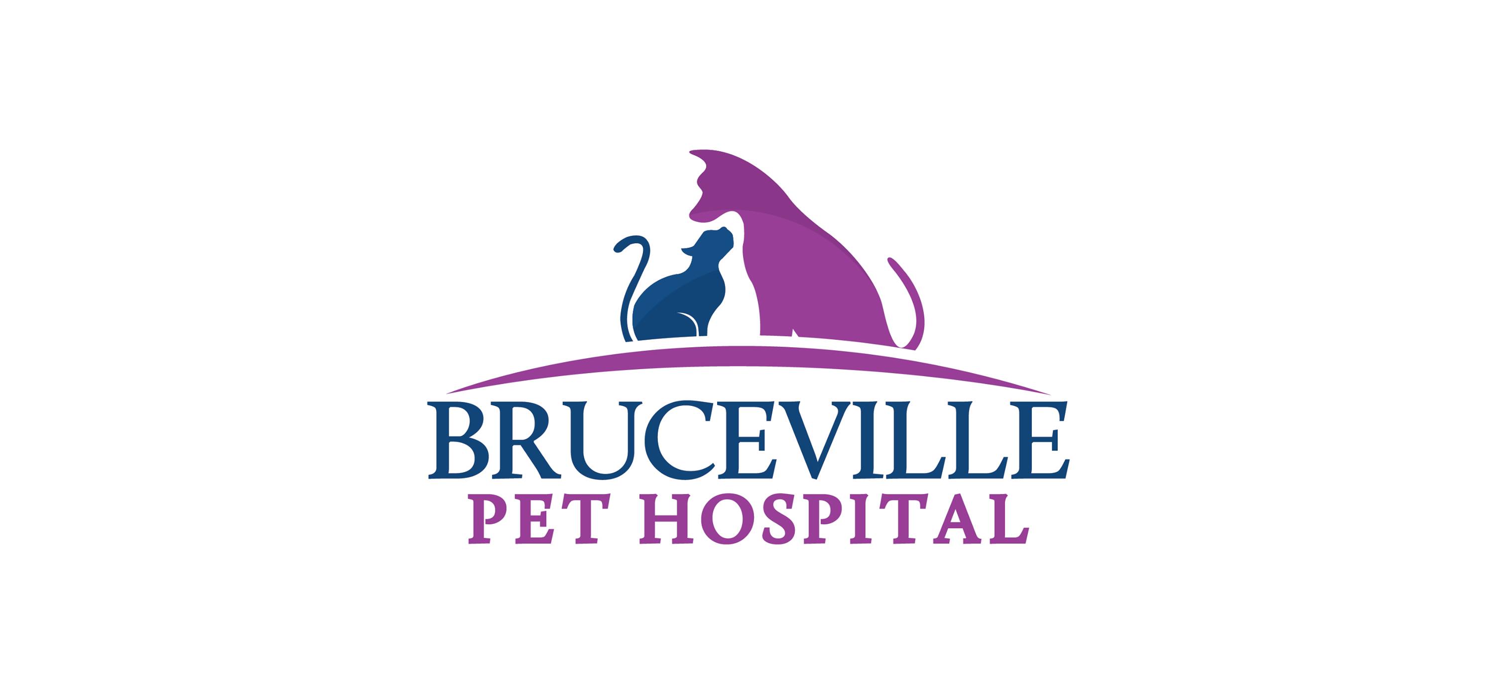Bruceville Pet Hospital | 10044 Bruceville Rd Suite 110-120, Elk Grove, CA 95757, United States | Phone: (916) 690-8914