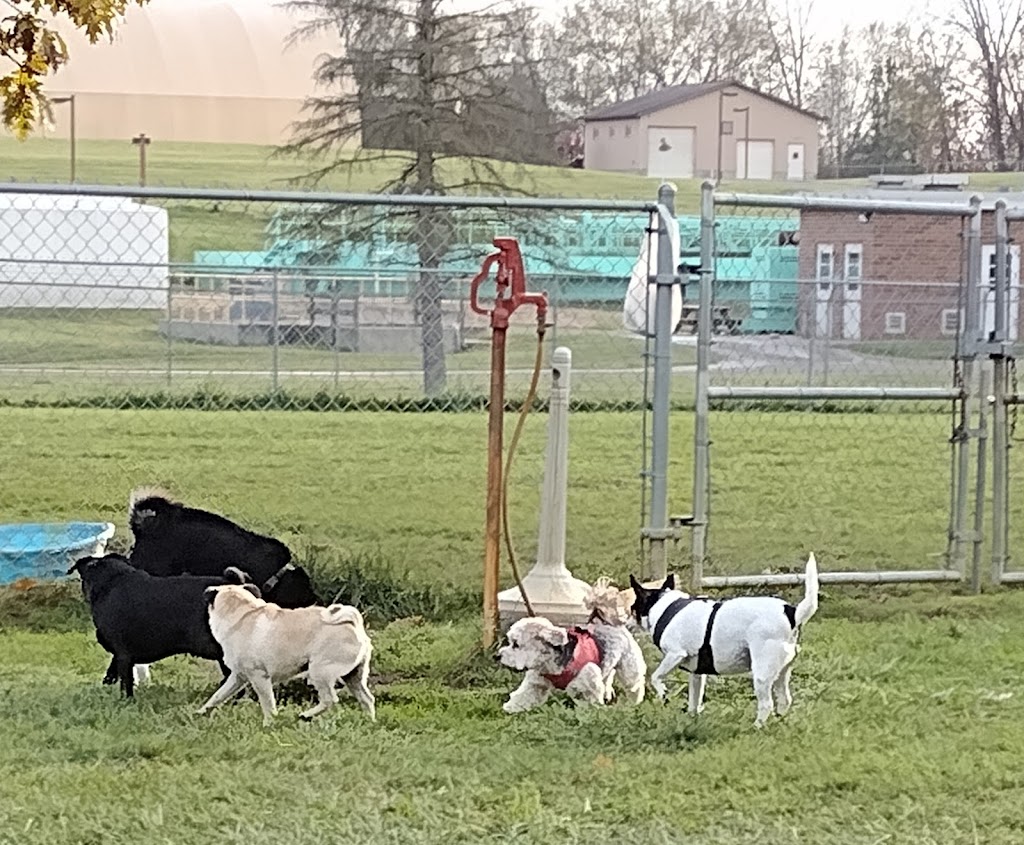Canal Fulton Dog Park | 5500 Butterbridge Rd NW, Canal Fulton, OH 44614, USA | Phone: (330) 854-2225