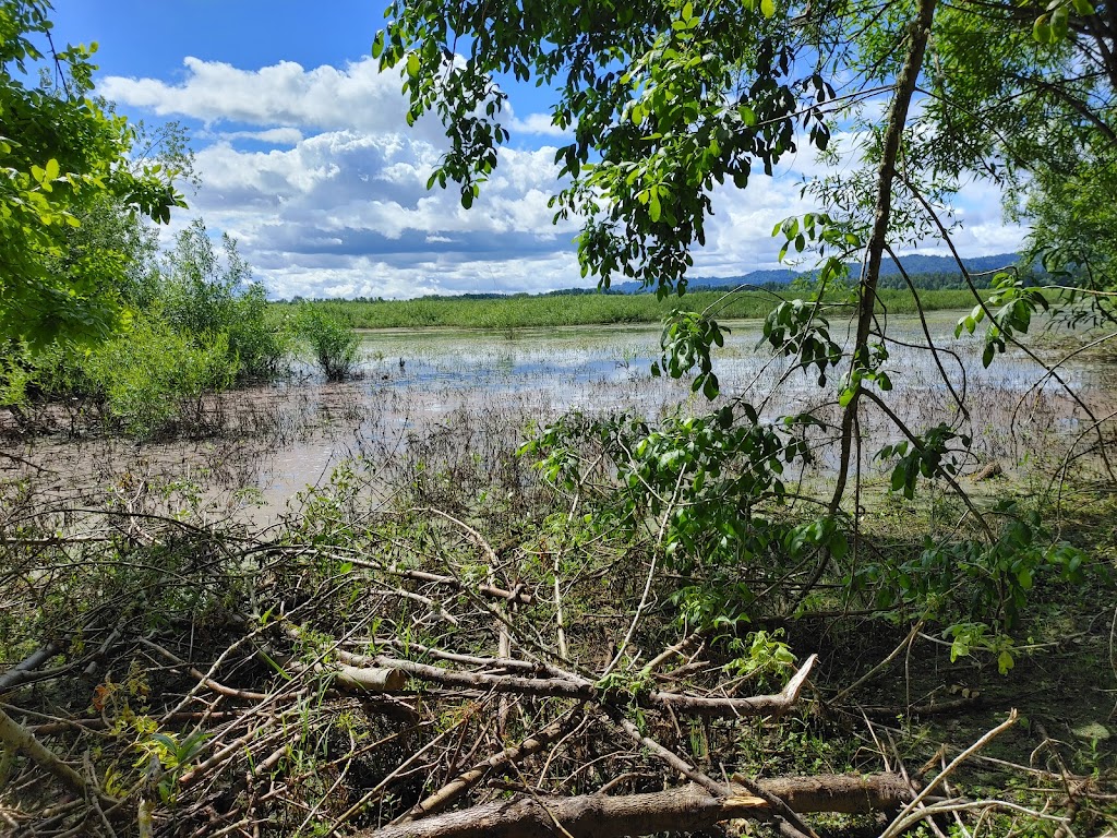 Smith and Bybee Wetlands Natural Area | 5300 N Marine Dr, Portland, OR 97203, USA | Phone: (503) 797-1545