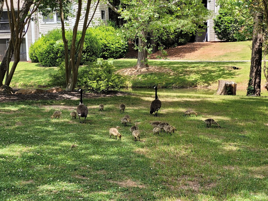 Pinewood Station | 600 S Churton St, Hillsborough, NC 27278, USA | Phone: (919) 629-9688