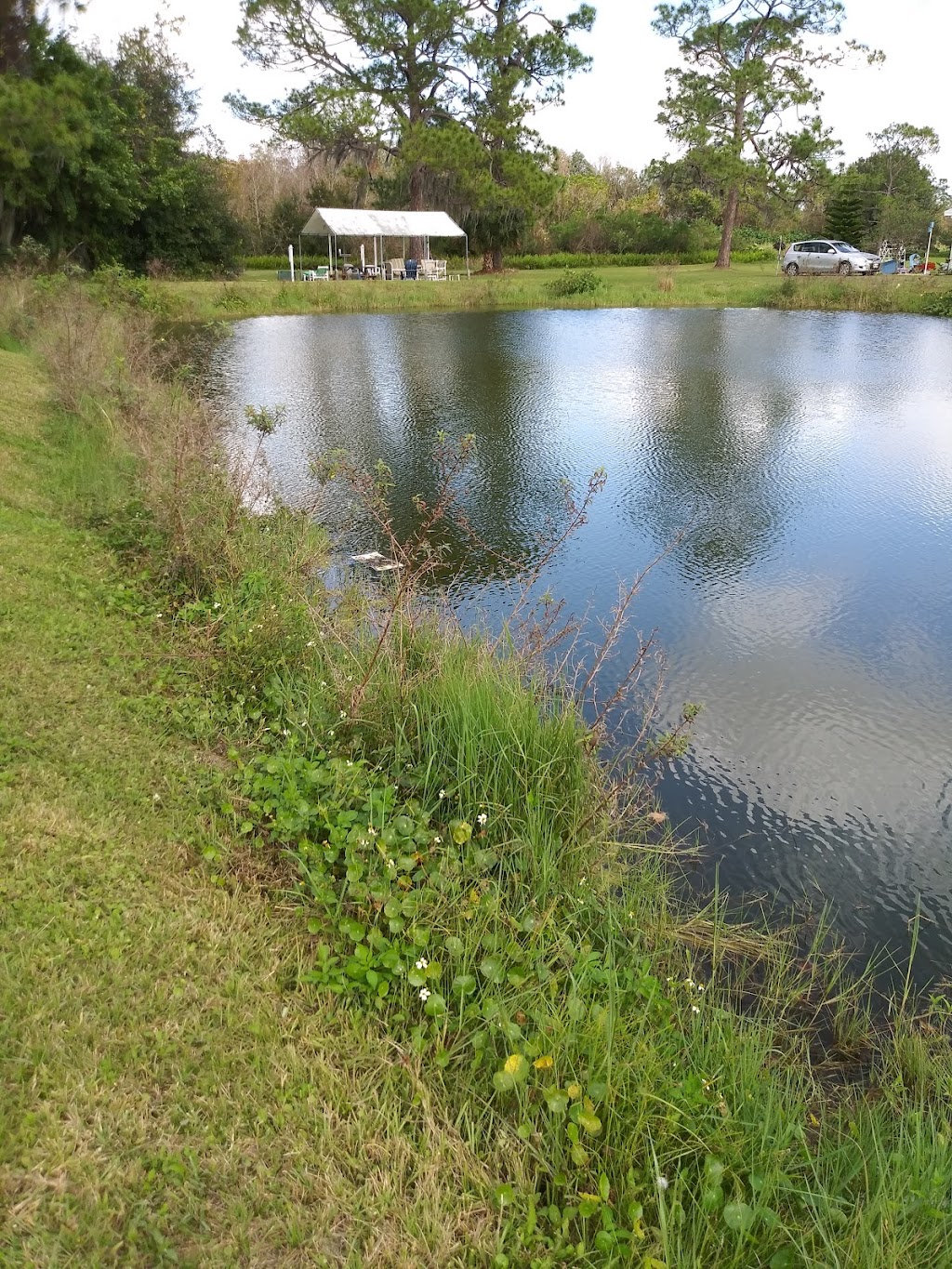 Minerva Mobile Home Park | 2800 U.S. Highway 17-92 North W, Haines City, FL 33844, USA | Phone: (863) 204-8198