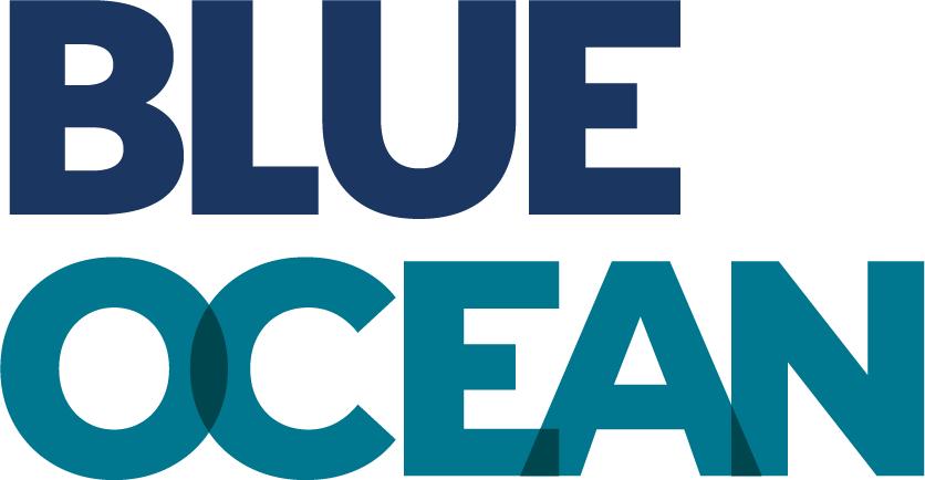 Blue Ocean Realty, 11620 Red Run Blvd Suite 100