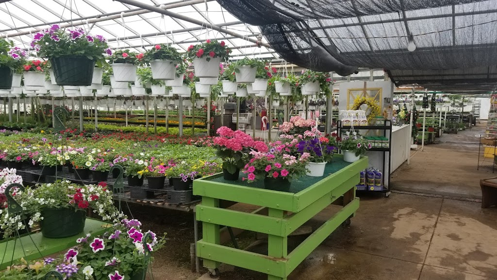 Old Brooklyn Greenhouse | 4646 W 11th St, Cleveland, OH 44109 | Phone: (216) 351-9338