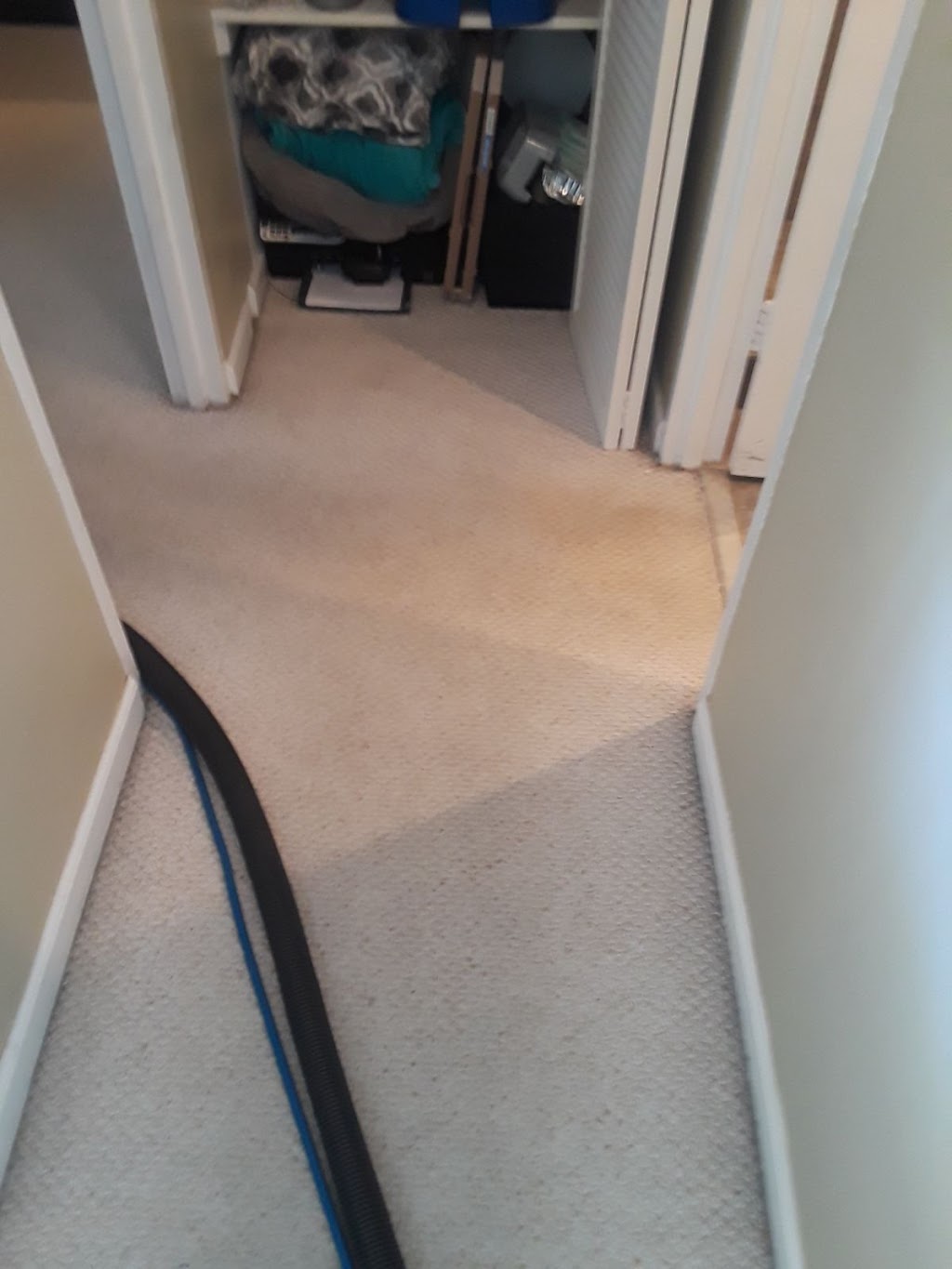 BROWARD COUNTY CARPET CLEANING INC | 7393 W Sunrise Blvd, Plantation, FL 33313, USA | Phone: (954) 774-6278