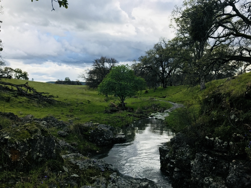 Spenceville Wildlife Area | 14936 Spenceville Rd, Penn Valley, CA 95946, USA | Phone: (530) 538-2236