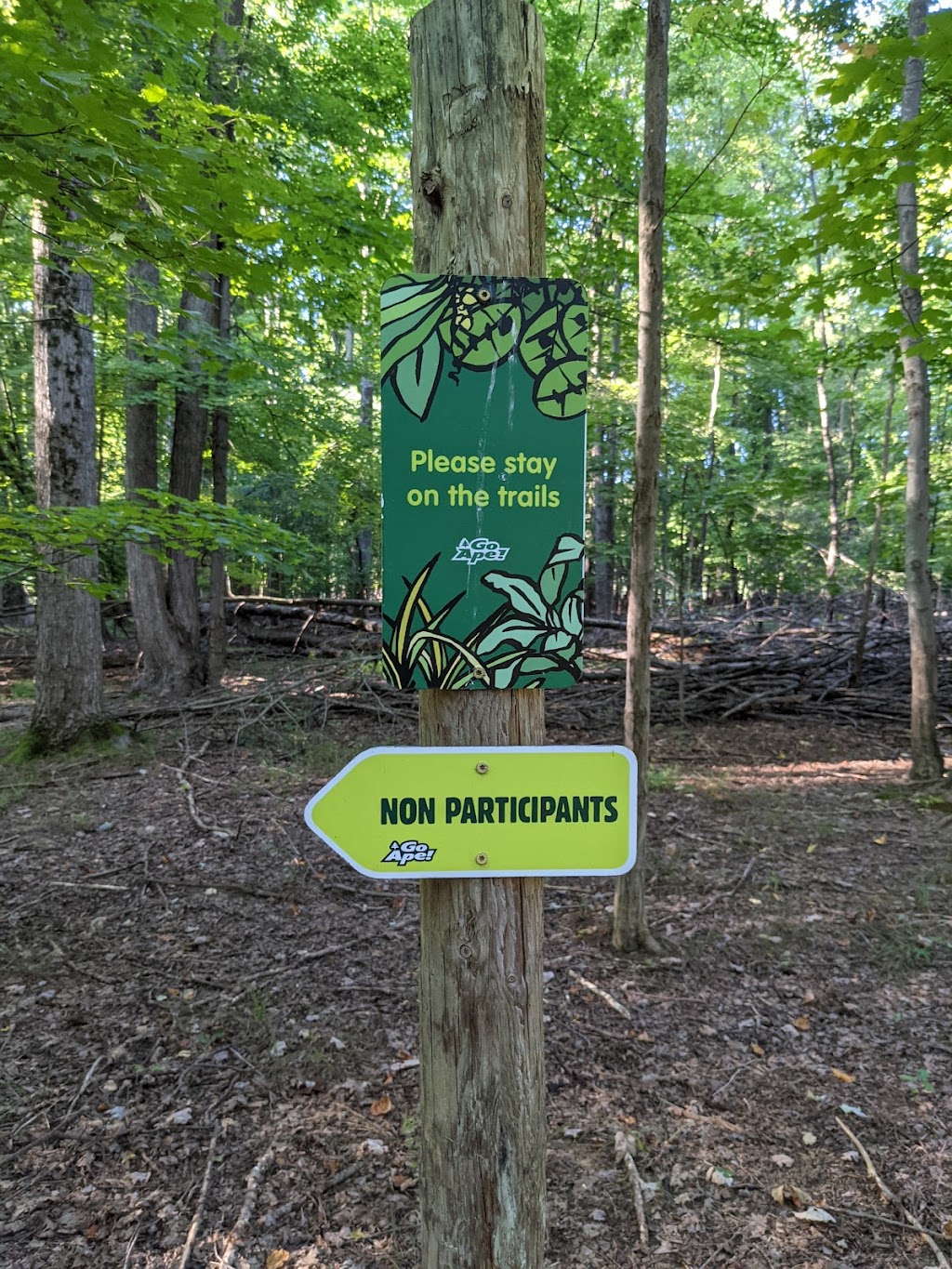 Go Ape Zipline and Adventure Park | 16200 Valley Pkwy, Strongsville, OH 44136, USA | Phone: (800) 971-8271