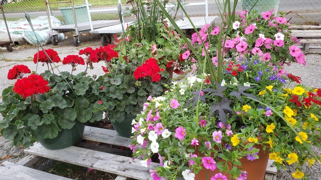 Toms Green Thumb | 1509 E Bayview Blvd, Norfolk, VA 23503, USA | Phone: (757) 588-0436