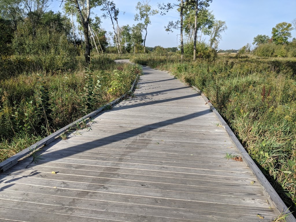 Blaine Wetland Sanctuary | 11980 Lexington Ave NE, Blaine, MN 55449, USA | Phone: (763) 785-6164