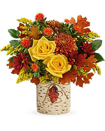 Pernas Plant and Flower Shop, Inc | 189 Washington Rd, Princeton, NJ 08540, United States | Phone: (609) 452-1383