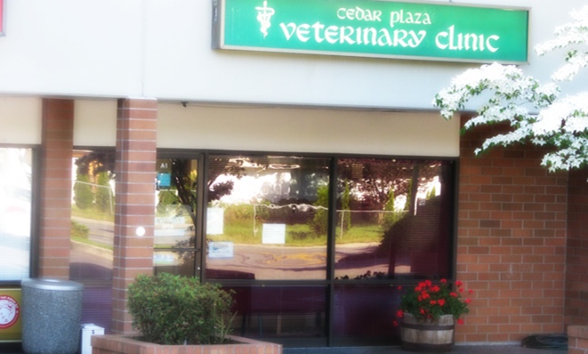 Cedar Plaza Vet Clinic | 22803 44th Ave W b4, Mountlake Terrace, WA 98043, USA | Phone: (425) 771-5224