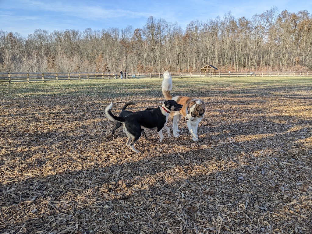 Bark Park at Miami Meadows | 1546 OH-131, Milford, OH 45150, USA | Phone: (513) 248-3725