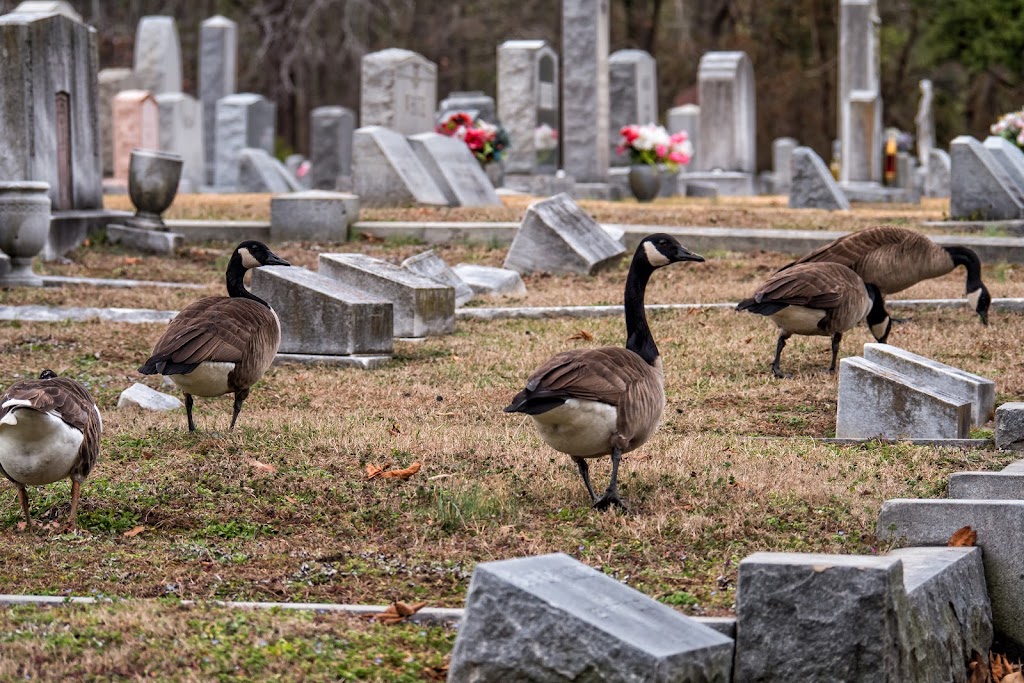 Saint Marys Cemetery | 3000 Church St, Norfolk, VA 23504, USA | Phone: (757) 627-2874
