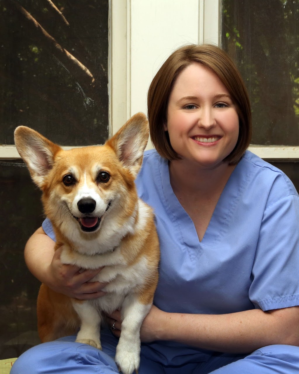 Bissonnet Southampton Vet Clinic | 2028 Bissonnet St, Houston, TX 77005, USA | Phone: (713) 520-8743