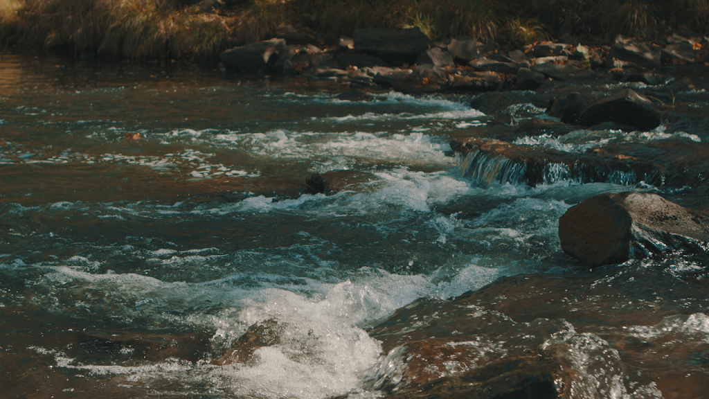 The Western NY Wilds | 6087 State Route 19N, Belmont, NY 14813, USA | Phone: (800) 836-1869