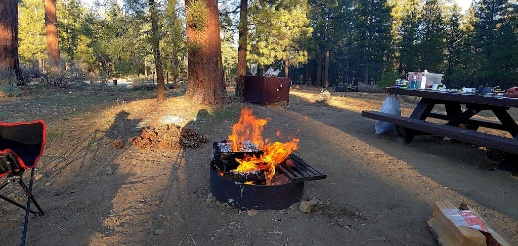 Heart Bar Family Campground | 46610 CA-38, Angelus Oaks, CA 92305, USA | Phone: (877) 444-6777