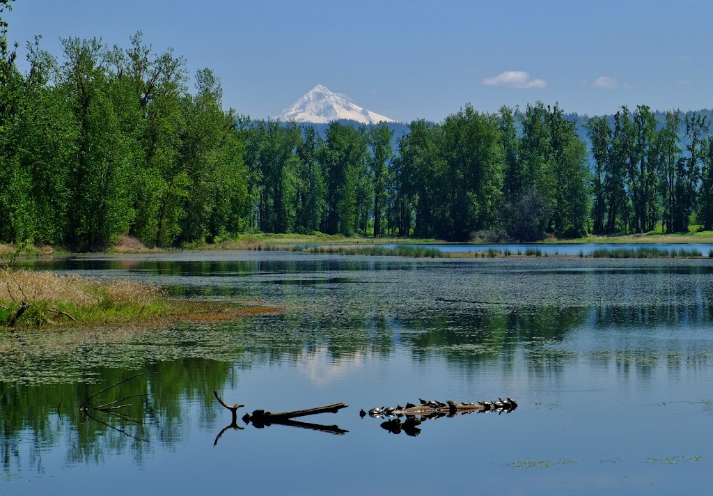 Steigerwald Lake National Wildlife Refuge | 35001 Lewis and Clark Hwy, Washougal, WA 98671, USA | Phone: (360) 835-8767