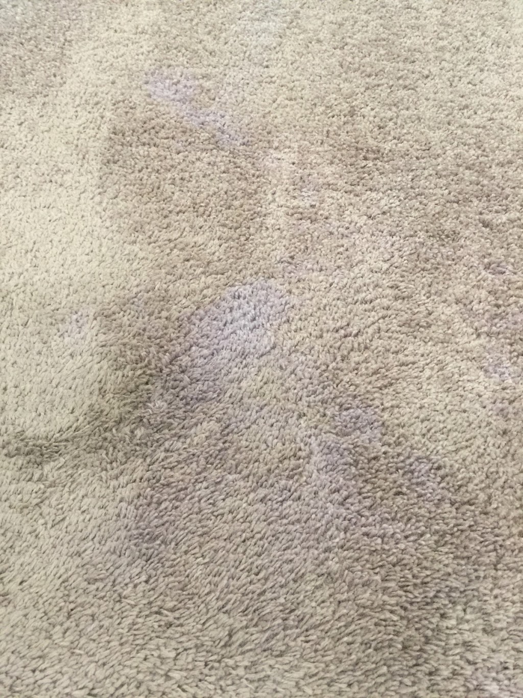 Tiger Paws Carpet & Upholstery Cleaning | 6047 Executive Centre Dr Suite 1, Memphis, TN 38134 | Phone: (901) 327-1884