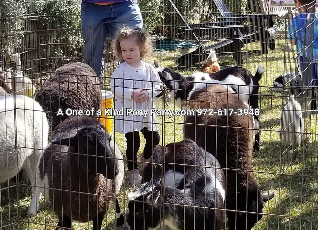 A One of a Kind Petting Zoo | 416 Pritchett Rd, Red Oak, TX 75154, USA | Phone: (972) 617-3948