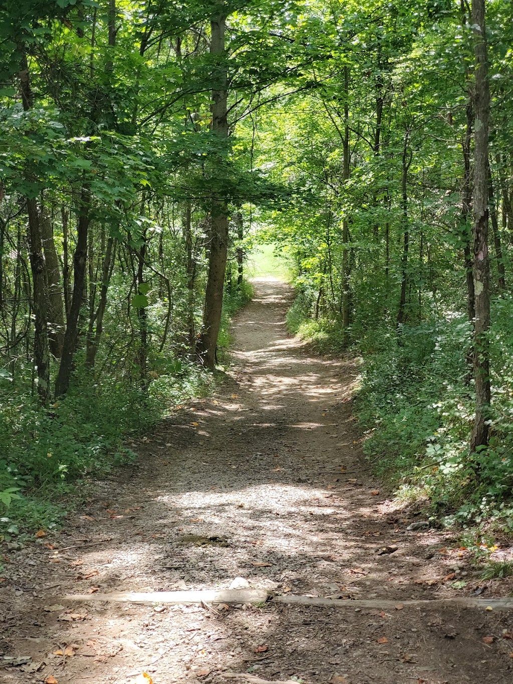 Tharp Knob Picnic Area #3 | Unnamed Road, Dunbar, PA 15431, USA | Phone: (724) 329-8591