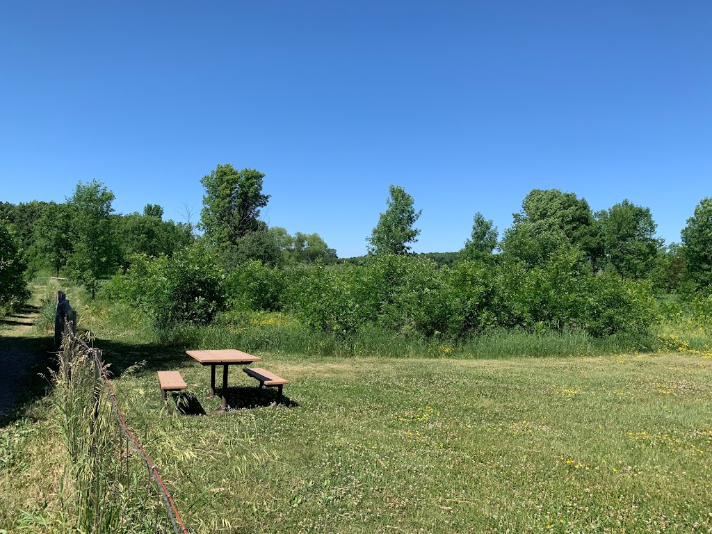 Lake Sarah Dog Park | 6670 W Lake Sarah Dr, Rockford, MN 55373, USA | Phone: (763) 694-7860