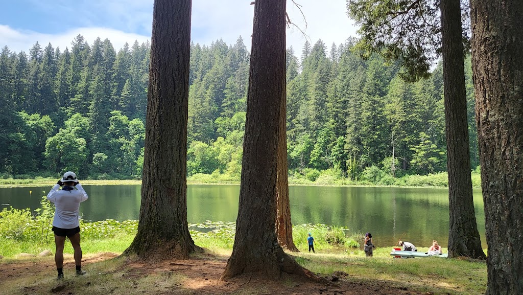 Fallen Leaf Lake Park | 2911 NE Everett St, Camas, WA 98607, USA | Phone: (360) 834-5307