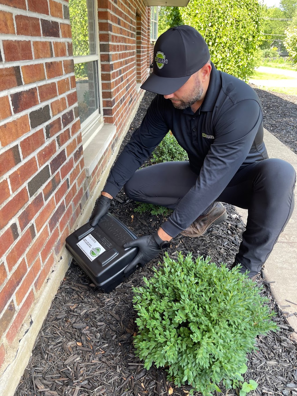 EcoGuard Pest Control | 1333 Burr Ridge Pkwy STE 200, Burr Ridge, IL 60527, USA | Phone: (630) 251-5000