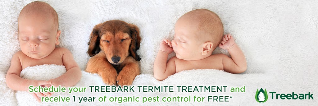 Treebark Termite and Pest Control | 1585 Westhaven Rd, San Marino, CA 91108, USA | Phone: (626) 489-4441