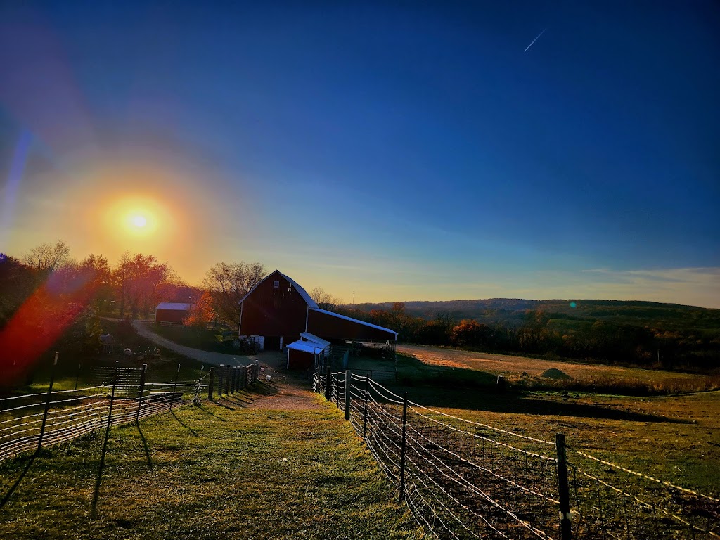 Havens Petting Farm | 2894 Erbe Rd, Blue Mounds, WI 53517, USA | Phone: (608) 513-5816