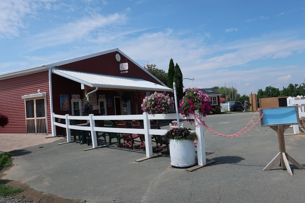 Bowman Orchards | 147 Sugar Hill Rd, Rexford, NY 12148, USA | Phone: (518) 371-2042