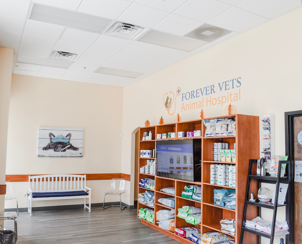 Forever Vets Animal Hospital of Murabella Parkway | 74 Capulet Dr Suite 204, St. Augustine, FL 32092, USA | Phone: (904) 679-3432