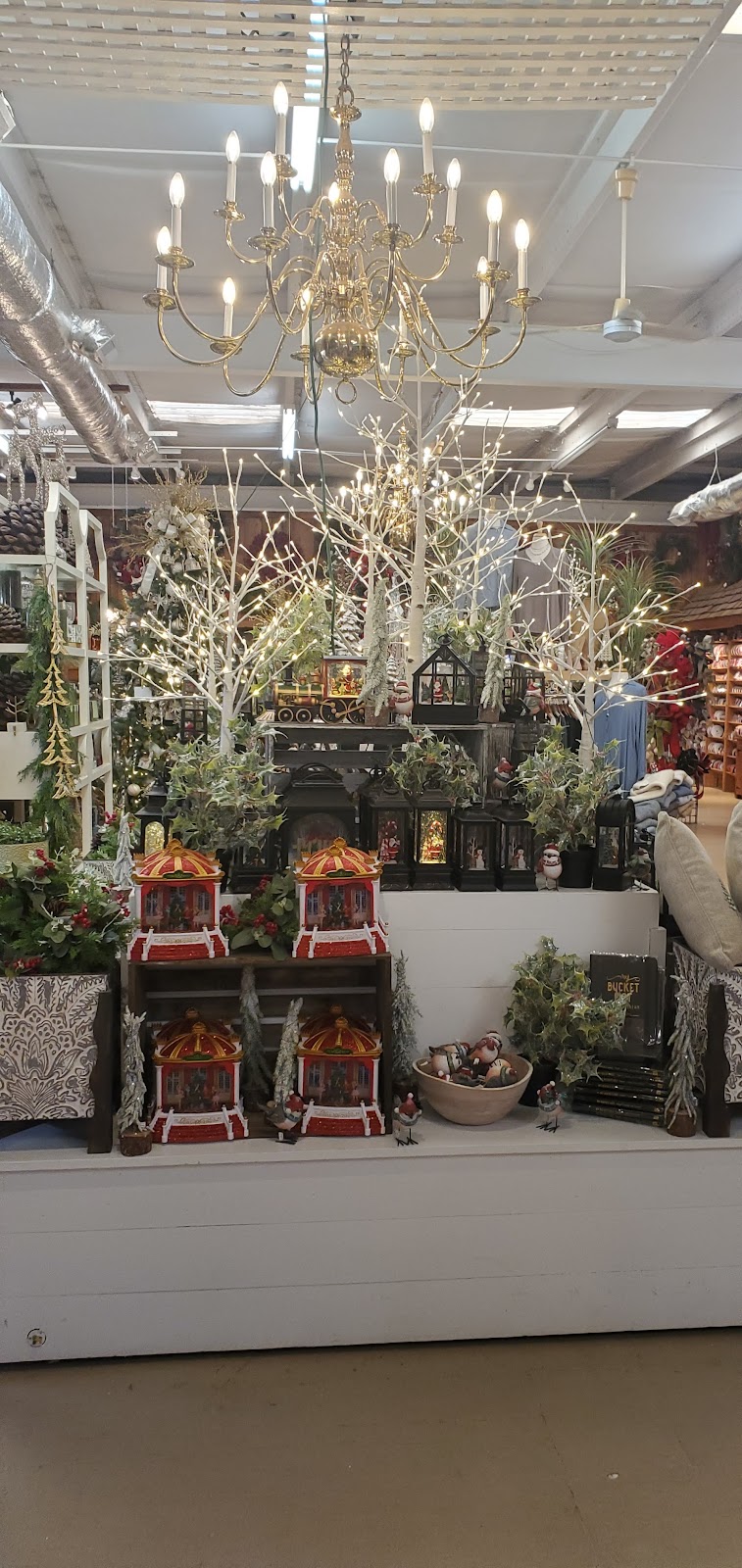 Homewood Nursery & Garden Center | 10809 Honeycutt Rd, Raleigh, NC 27614, USA | Phone: (919) 847-0117