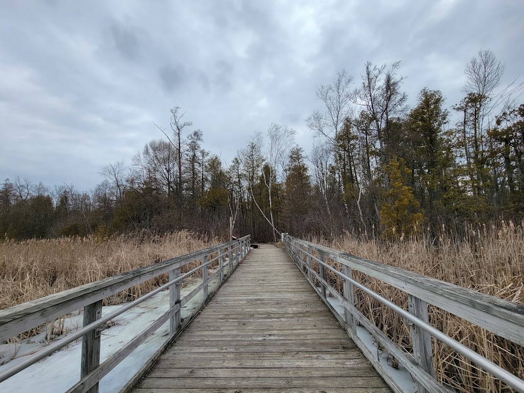 Cedarburg Bog State Natural Area | WI-33, Saukville, WI 53080, USA | Phone: (262) 675-6844