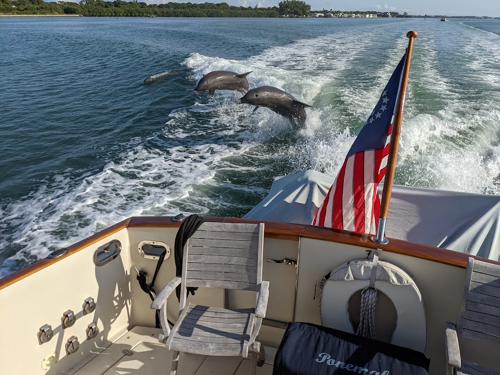 Downeast Yacht Tours | T-Wharf, Rockport, MA 01966, USA | Phone: (978) 290-8526