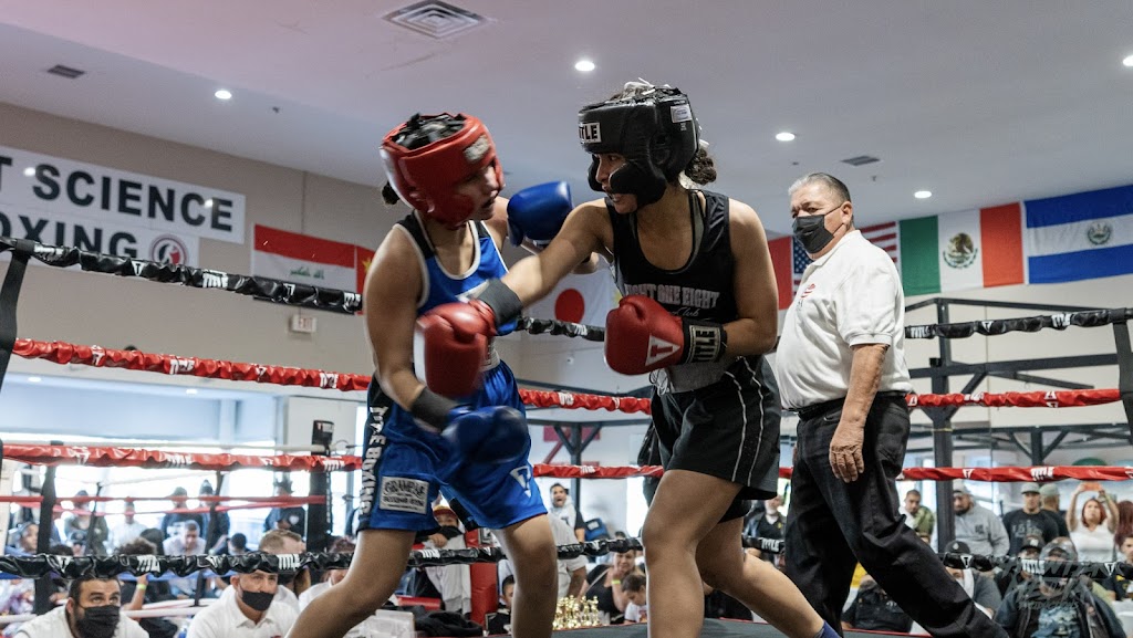 Sweet Science Boxing & MMA | 12935 Hawthorne Blvd, Hawthorne, CA 90250, USA | Phone: (310) 606-9171