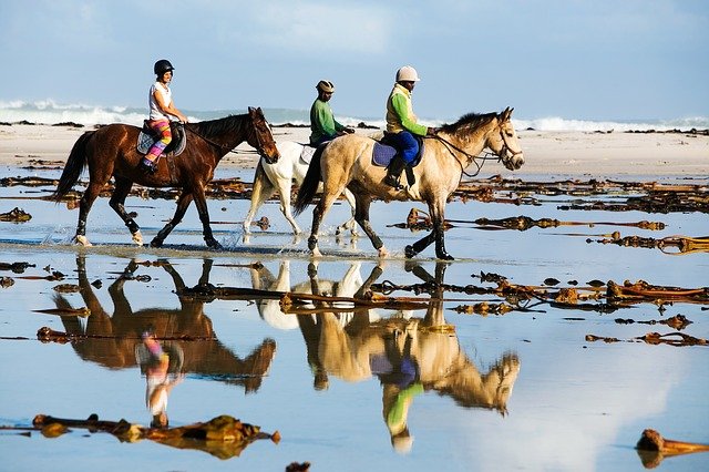 Toursxrosaritobeach | René Ortiz C., Centro Playas, 22710 Rosarito, B.C., Mexico | Phone: 661 116 0059