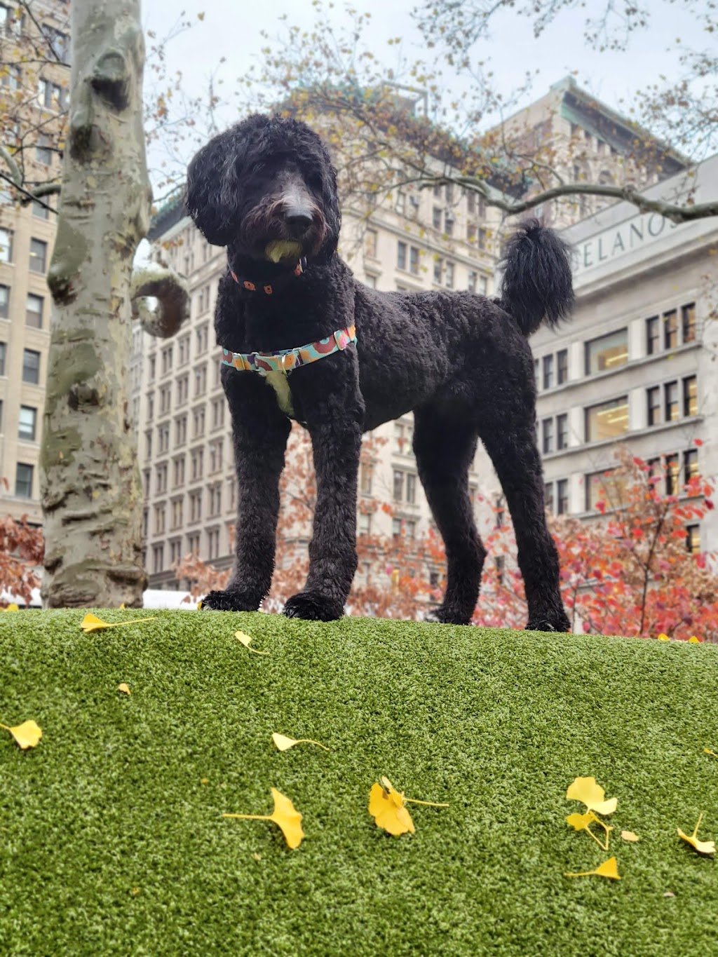 Grey Advertising | 200 5th Ave, New York, NY 10010, USA | Phone: (212) 546-2000