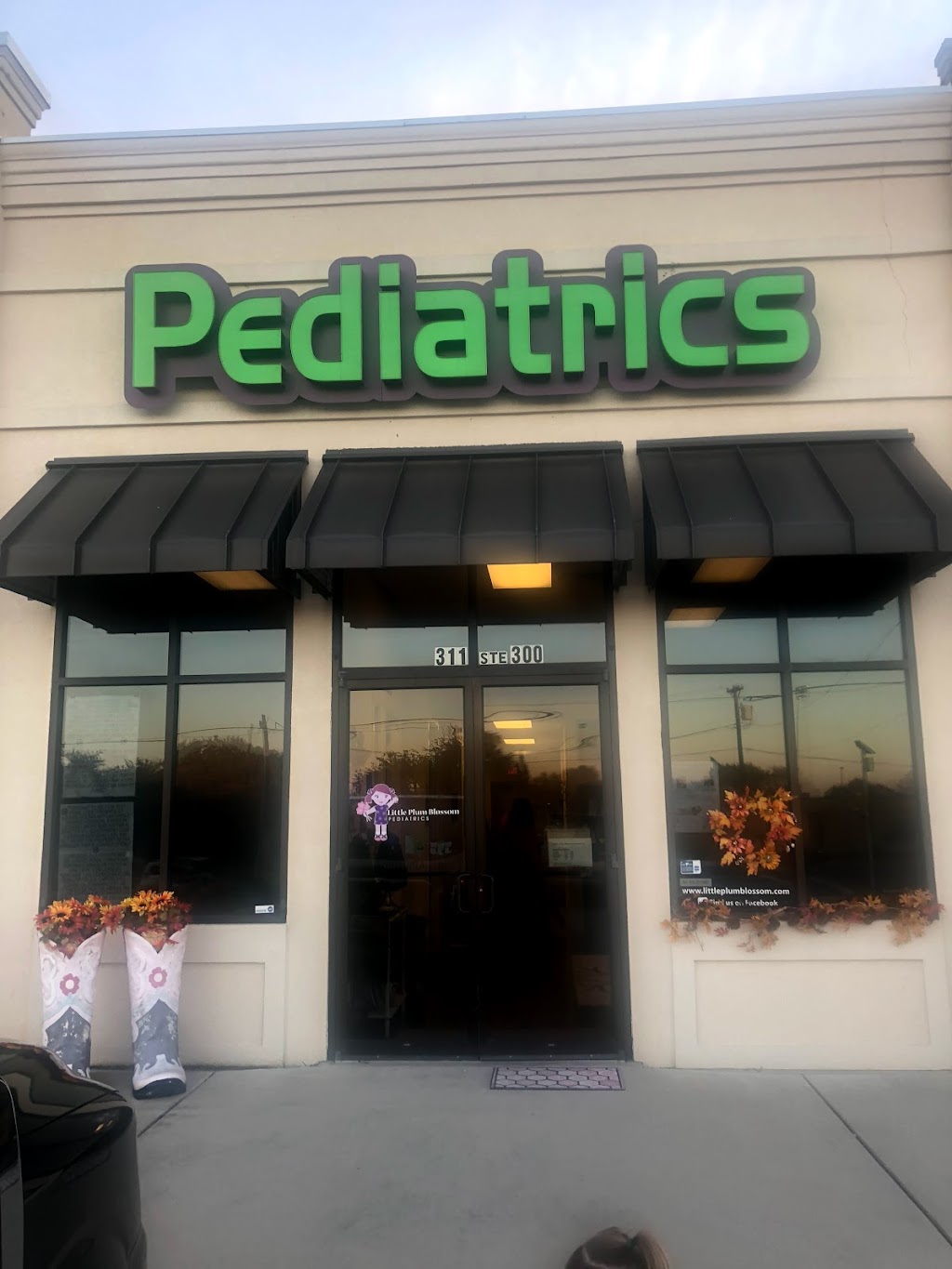 Little Plum Blossom Pediatrics | 311 FM 1187 #300, Aledo, TX 76008, USA | Phone: (817) 441-2266