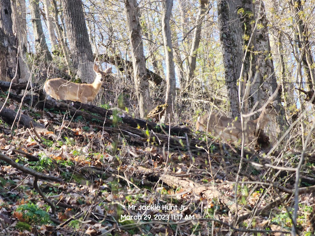 Fossil Trail, trailhead | General Butler Park Rd, Carrollton, KY 41008, USA | Phone: (502) 732-4384