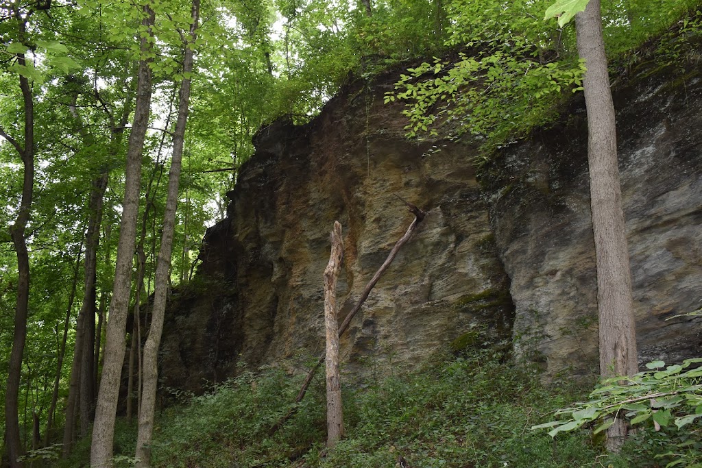 Wildflower Reserve Interpretive Center | 525 Lincoln Hwy, Raccoon Creek State Park Wildflower Center, 482 US-30, Clinton, PA 15026 | Phone: (724) 899-3611