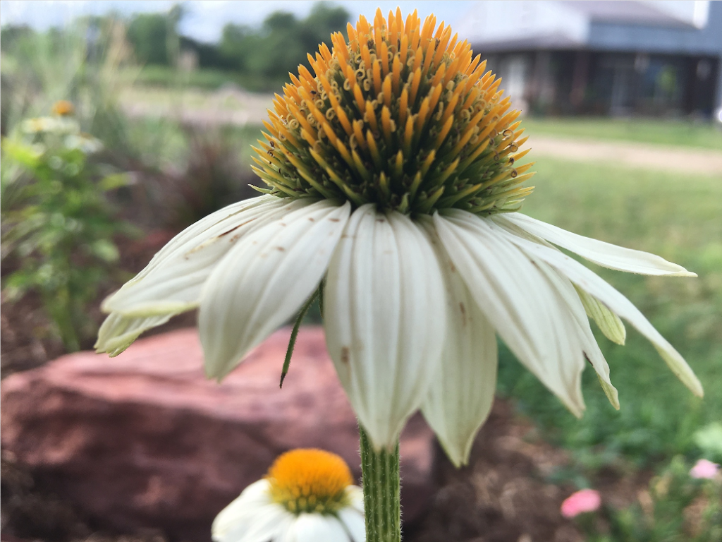 Yonderland Retreats | 1050 E County Rd 70, Mulhall, OK 73063, USA | Phone: (405) 649-2421