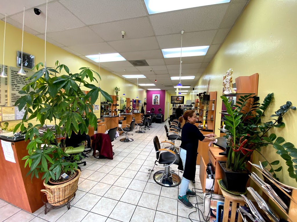 Silhouette Salon | 1766 Decoto Rd, Union City, CA 94587, USA | Phone: (510) 675-0389