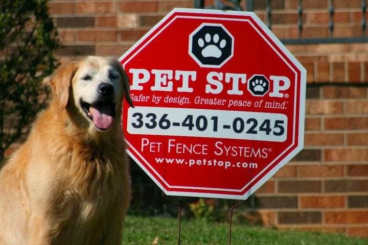 Pet Stop of the Foothills | 110 Kindness St, Mt Airy, NC 27030, USA | Phone: (336) 719-6804