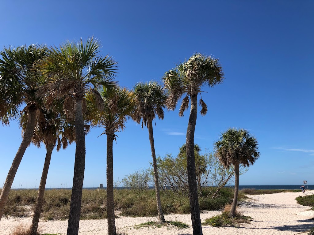 Wheel Fun Rentals | Fred Howard Park | 1700 Sunset Dr, Tarpon Springs, FL 34689, USA | Phone: (833) 787-7397