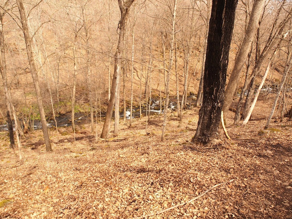 Osceola Bedrock Glades State Natural Area | County Rd S, Osceola, WI 54020, USA | Phone: (888) 936-7463