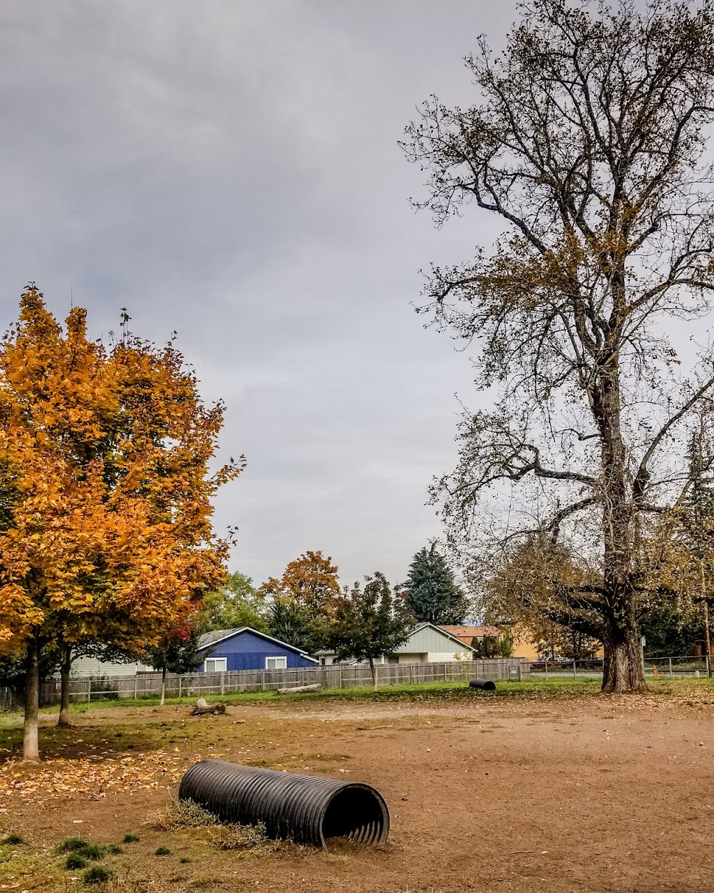 Newberg Dog Park | 1201 S Blaine St, Newberg, OR 97132, USA | Phone: (503) 209-9994