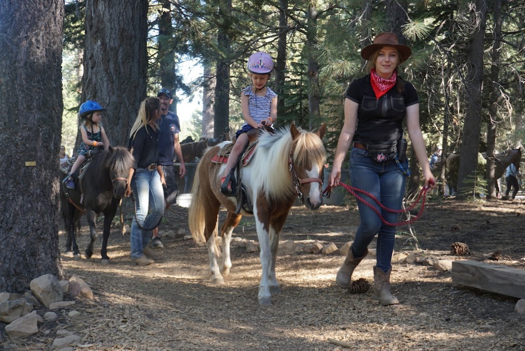 Tahoe Donner Equestrian Center | 15275 Alder Creek Rd, Truckee, CA 96161, USA | Phone: (530) 587-9470