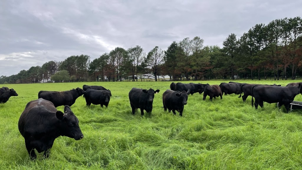 HLR Beef Shop | 111 US-175 W, Eustace, TX 75124, USA | Phone: (903) 425-9014