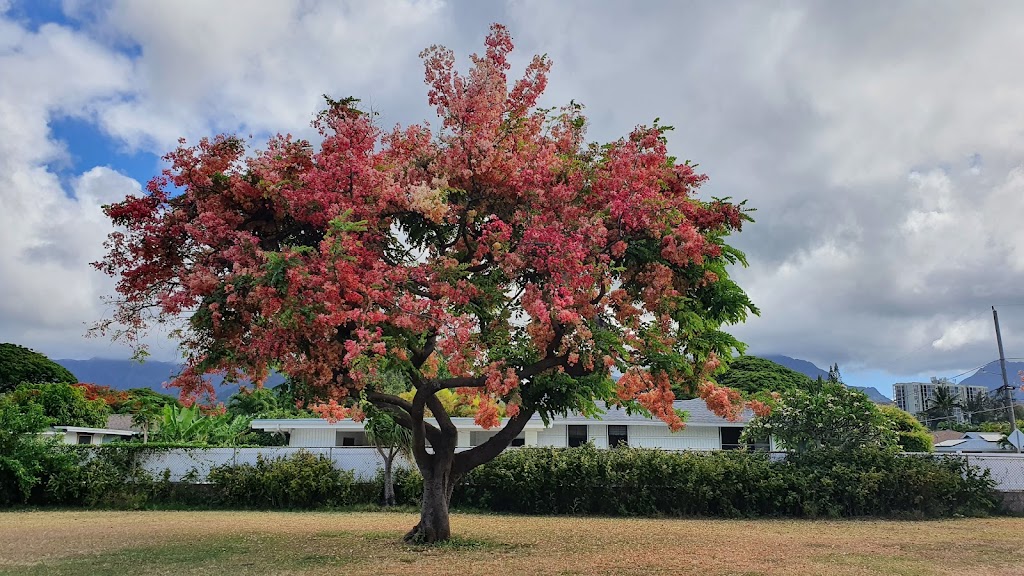 Kaelepulu Park | 207 Awakea Rd, Kailua, HI 96734, USA | Phone: (808) 768-3003