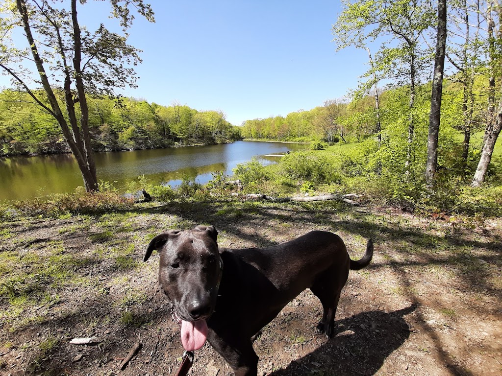 Cascade Lake Park | Cascade Lake Rd, Warwick, NY 10990, USA | Phone: (845) 986-1124