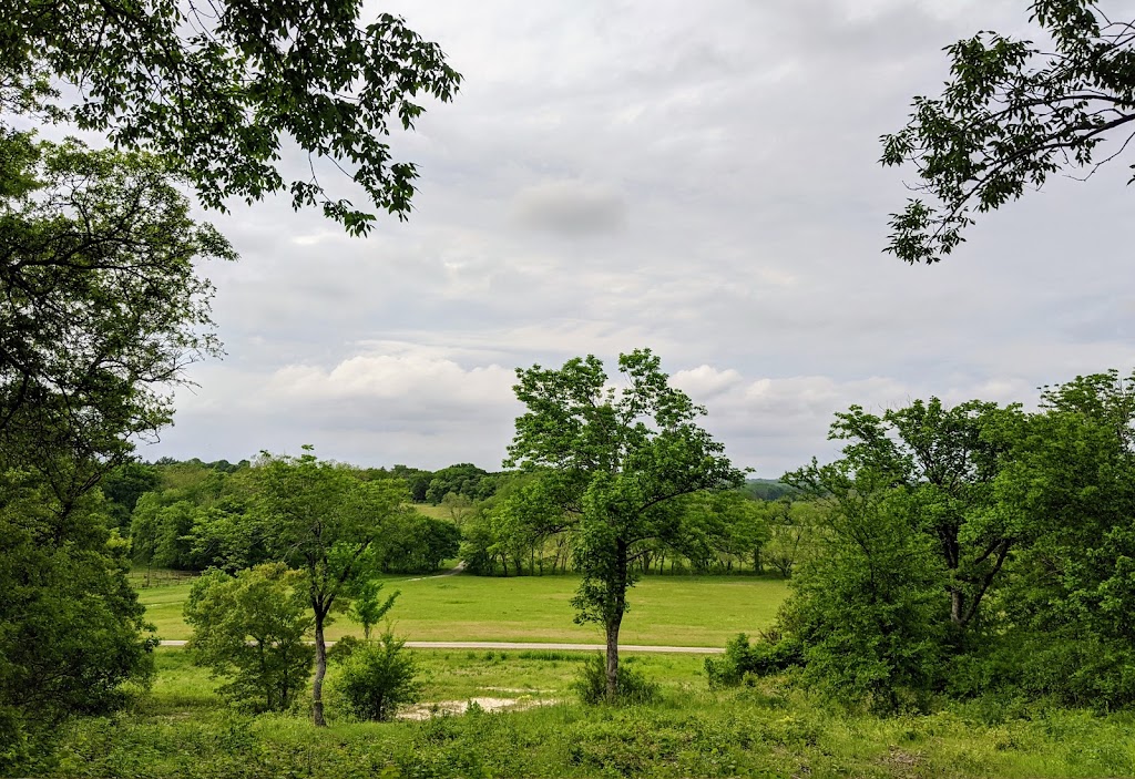 Best Day Ever Ranch | 5927 Rose Hill Rd, Whitewright, TX 75491, USA | Phone: (903) 546-6424